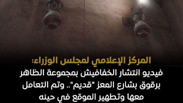 "إعلامي الوزراء": فيديو انتشار الخفافيش بمجموعة الظاهر برقوق بشارع المعز "قديم"