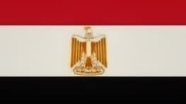 دبلوماسيون سابقون : شفافية التعامل مع حادث دمياط تعزز الثقة بمؤسسات الدولة وتؤكد التكاتف الوطني لحماية الأمن القومي