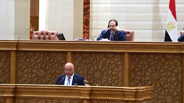 النائب محمد أبو العينين 