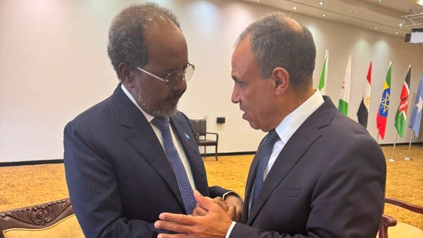 وزير الخارجية ورئيس الصومال