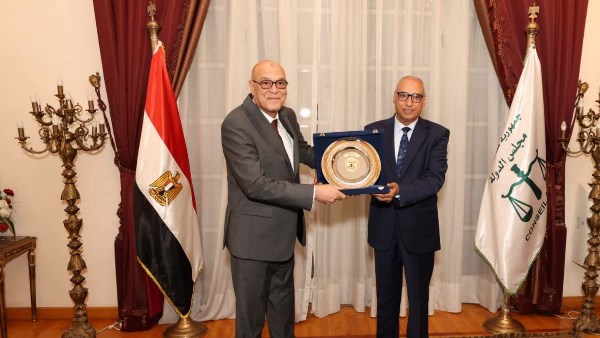 مجلس الدولة