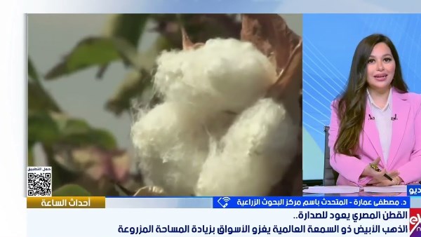 اكسترا نيوز
