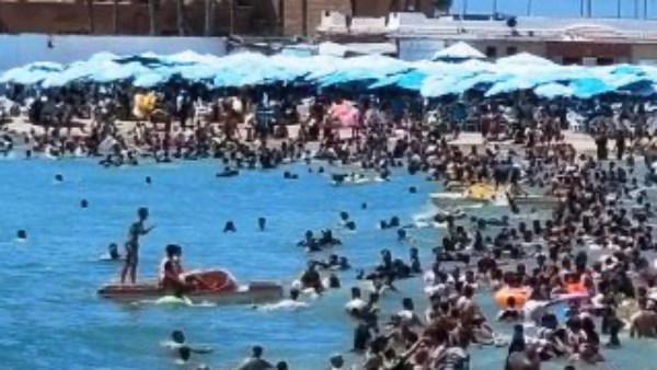 شواطئ 