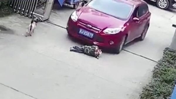 استغاثة شاب من اعتداء والده عليه في الشارع بالشيخ زايد