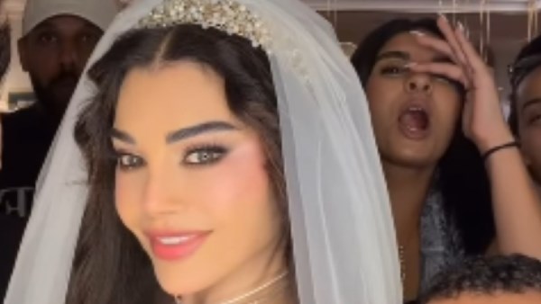 هيفاء وهبي 