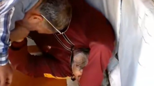 عمل نفسه ميت.. حقيقة فيديو ادعاء تاجر بالإغماء في الغربية أثناء حملة تفتيش التموين