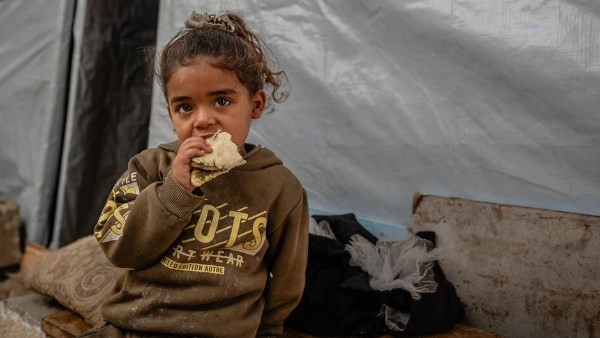 منظمة الأمم المتحدة للطفولة