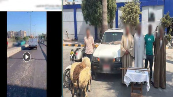 المتهمين 