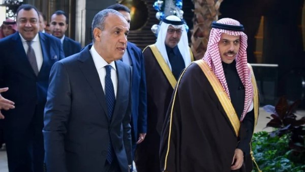 وزيرا خارجية مصر والسعودية