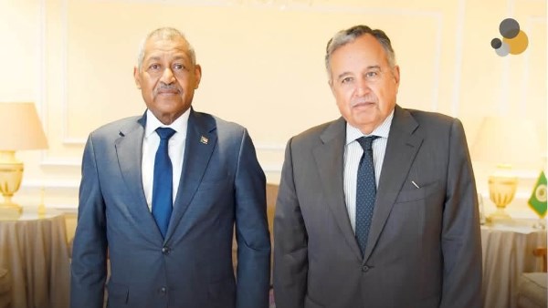 نبيل فهمي يلتقي سفير السودان بالقاهرة 