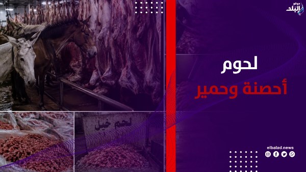 لحوم أحصنة وحمير