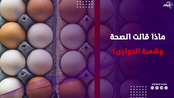 عدوى السالمونيلا