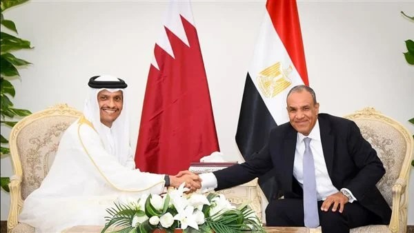 وزير الخارجية مع نظيره القطري