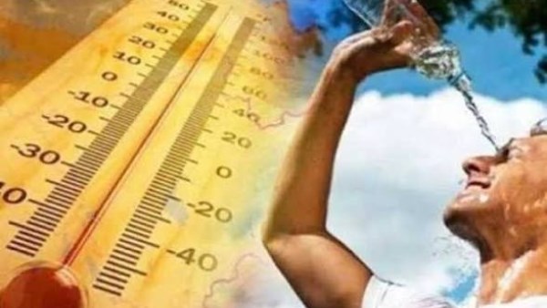 نشرة المرأة والمنوعات