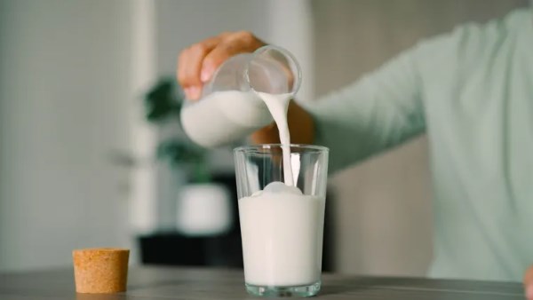 فوائد الحليب كامل الدسم للجسم