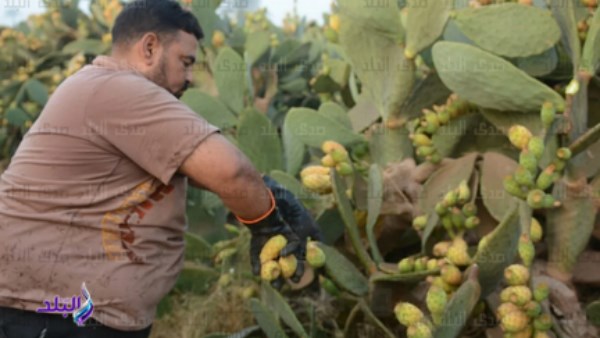 علاقة الإنسان بالأرض