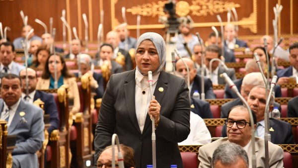 النائبة الدكتورة مروة قنصوة