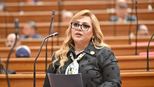 برلمانية: توجيهات الرئيس السيسي تضع تطوير التعليم على رأس الأولويات برلمانية: توجيهات الرئيس السيسي تضع تطوير التعليم على رأس الأولويات