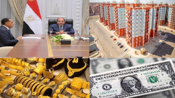 صورة الملف