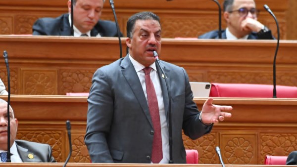 النائب فيصل أبو عريضة، عضو مجلس النواب عن حزب حماة الوطن