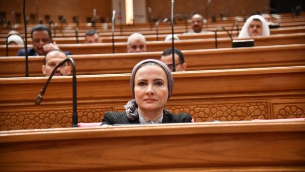  النائبة نشوة عقل - عضو لجنة الإعلام والثقافة والآثار بمجلس النواب