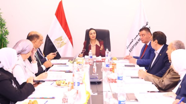 التضامن الاجتماعى
