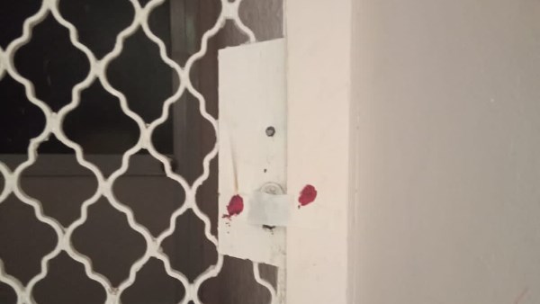 غلق وتشميع منشآت تعمل بدون ترخيص خلال حملة مكبرة في العجوزة