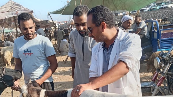 قافلة بيطرية
