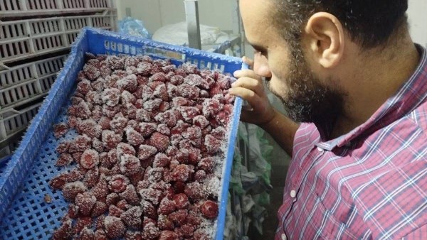 حملات تموينية