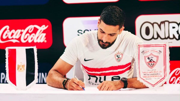 رضا هيكل