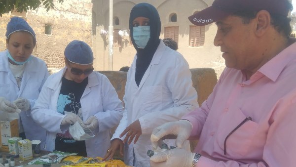قافلة بيطرية مجانية بقرية الشغب في إسنا تقدم خدمات الكشف والعلاج لـ317 رأسًا من الماشية والأغنام والماعز