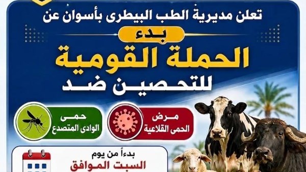 جهود متنوعة