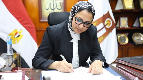 محافظ الوادي الجديد 