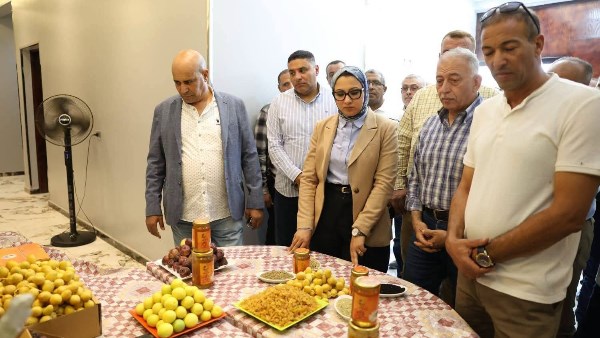 حنان مجدي محافظ الوادي الجديد