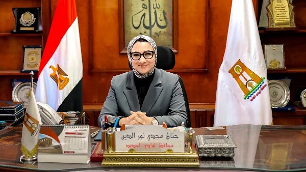 محافظ الوادي الجديد 