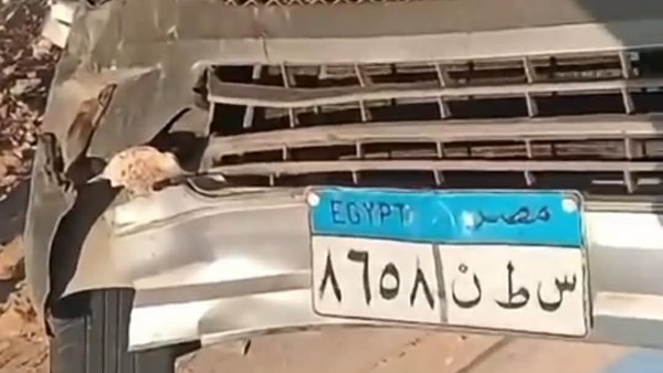 حادث مطروح 