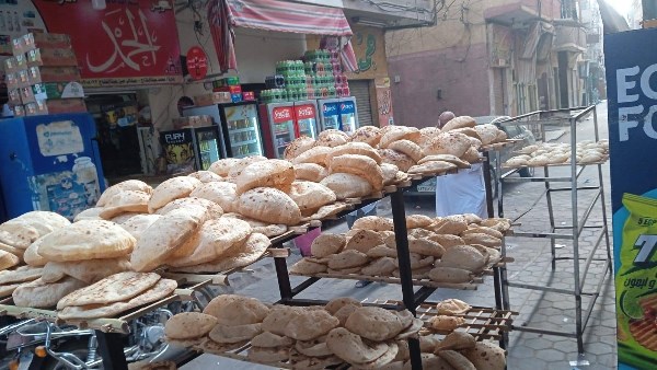 حملات مكثفة لضبط الأسواق ومتابعة المخابز والأنشطة التجارية بالقليوبية حملات مكثفة لضبط الأسواق ومتابعة المخابز والأنشطة التجارية بالقليوبية