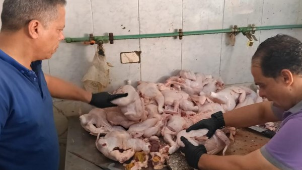 لحوم فاسدة بالغربية 