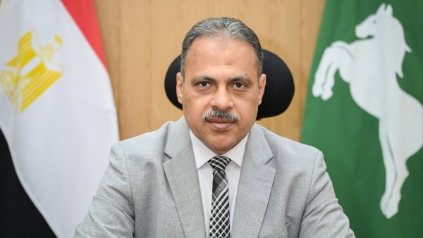 محافظ الشرقية