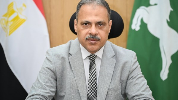 محافظ الشرقية