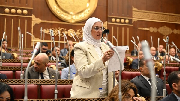 النائبة زينب فهيم عضو مجلس الشيوخ 