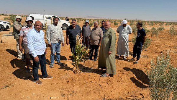 مركز بحوث الصحراء