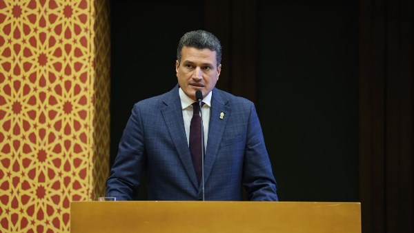 الدكتور أسامة الحديدي