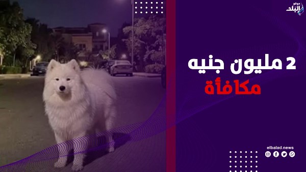 2 مليون جنيه مكافأة