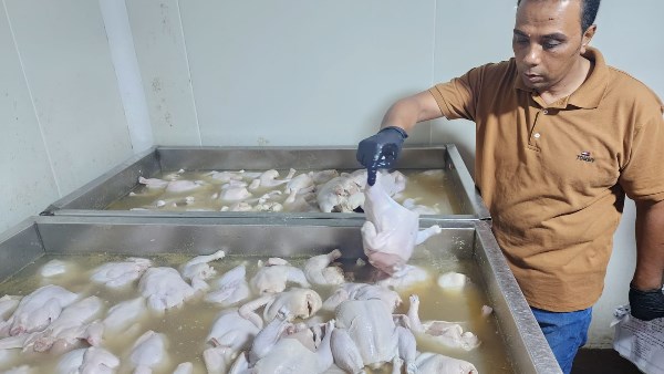 حملات تفتيشية 
