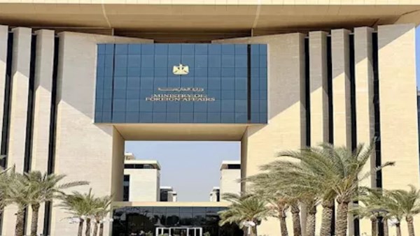 إطلاق وثيقة تأمين للمصريين بالخارج.. تعويضات للوفاة والفصل والعجز