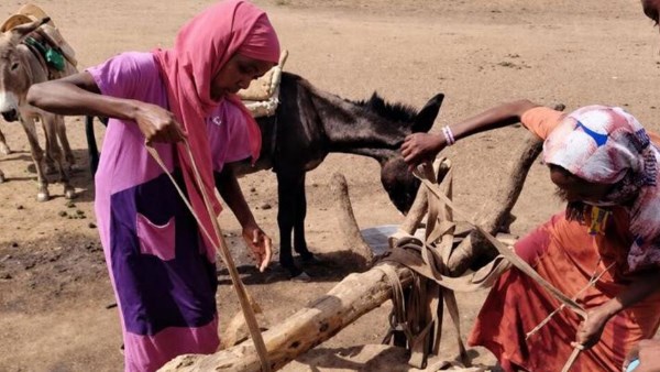 الأمم المتحدة: استمرار القتال بالسودان يفاقم الاحتياجات الإنسانية