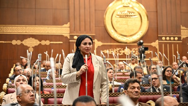 النائبة شيرين صبري