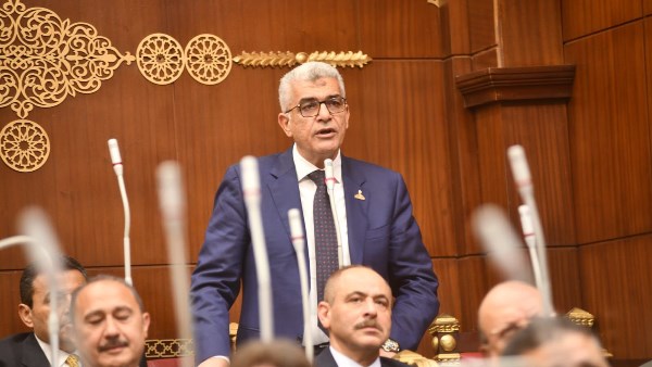 النائب محمد سلامة