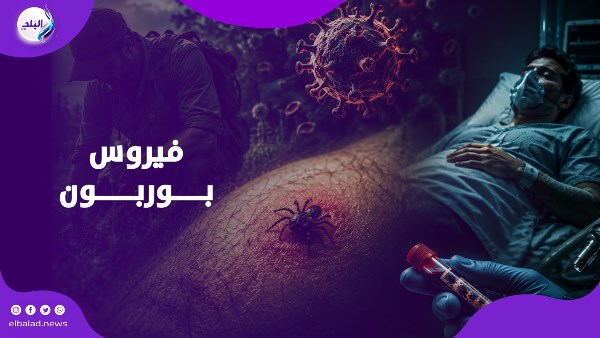 فيروس بوربون